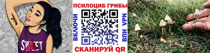 Псилоцибиновые грибы Magic Shrooms ОМГ ОМГ рабочий сайт Курганинск закладка