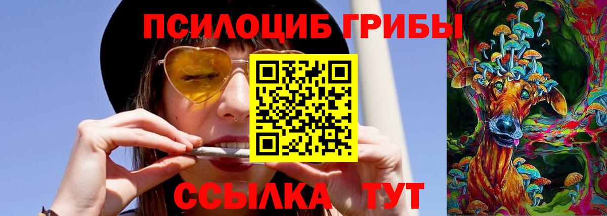 Псилоцибиновые грибы Psilocybine cubensis  Галлюциногенные грибы GOLDEN TEACHER  Курганинск  как найти закладки  Вход с VPN 